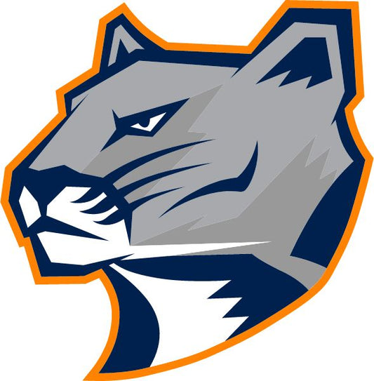 Large mascot